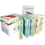Carton color Coloraction, A4, 160 g, 250 coli/top, galben pal - desert - Pret/top