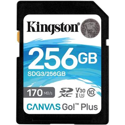 Sequel Pointer Understanding Card Memorie Kingston SD 256GB Canvas Go Plus - SD 256GB Canvas Go Plus -  ForIT