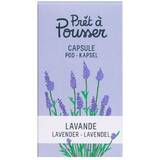 Lavender Pod, CAPS4-LNGRE-LAV