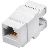 Q-LANTEC MKN-U6-1 wire connector RJ45 UTP Category 6 Unshielded White