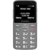 MOBILE PHONE PANASONIC PANASONIC KX-TU160EXG Gray