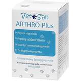 Arthro Plus - vitamin complex for dogs and cats - 60 tablets