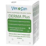 Derma Plus - vitamin complex for dogs and cats - 60 tablets