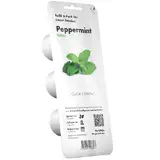 Peppermint pentru ClickGrow Smart Garden - set de 3 Pods