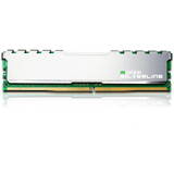 Silverline 32 GB DDR4 3200MHz CL22 Single