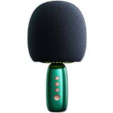 Wireless karaoke with Bluetooth 5.0 speaker 2500mAh Green