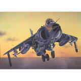 FRS.1 Sea Harrier 