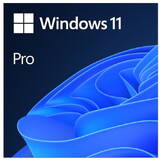 MS ESD Windows Professional 11 64-bit All Languages Online Product Key License 1 License Downloadable NR